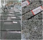 Da dureza alta contínua de Worktops do granito da casa pré-fabricada resistência de corrosão boa