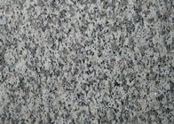 Telhas da pedra do granito do material de construção/tamanhos diferentes da laje opcionais