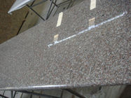 Matéria prima natural de grande resistência do granito de Worktops do granito contínuo de Brown