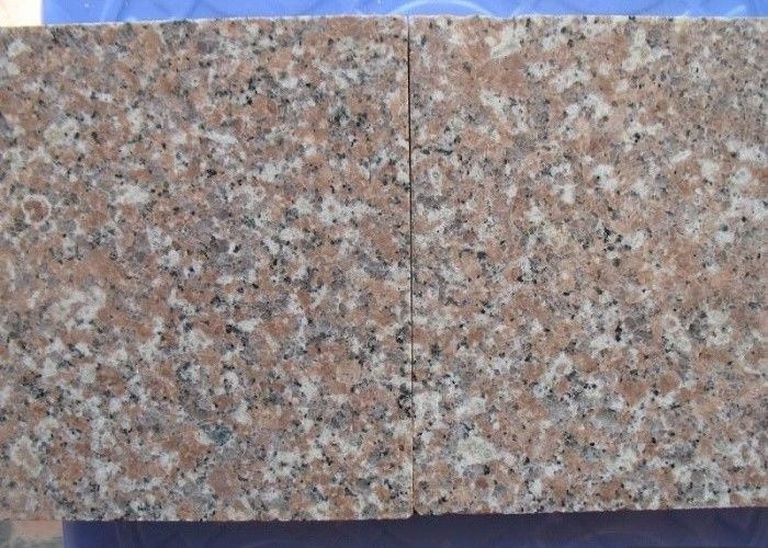 O rosa vermelho Zhangpu Brown cor-de-rosa vermelho de G648 Brown Rosa lustrado ardeu lajes das telhas da pedra do granito
